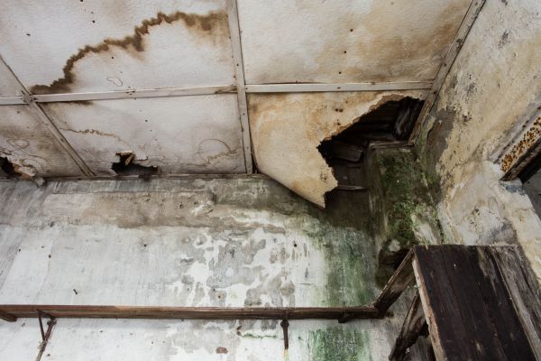 Water Damage Service in Saint Clair Shores