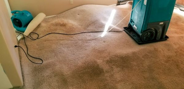 Carpet Water Extraction in Saint Clair Shores