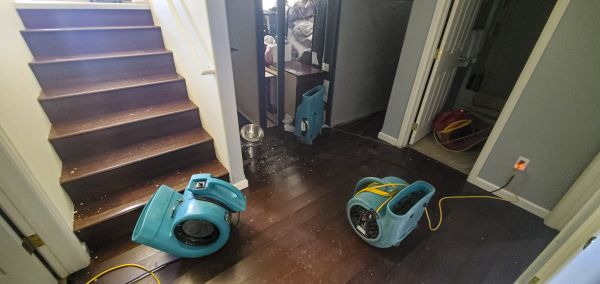Water Damage Remediation in Saint Clair Shores