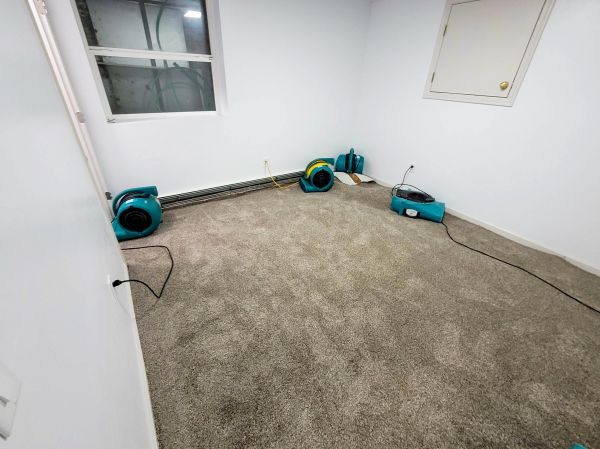Flood Restoration Service in Saint Clair Shores