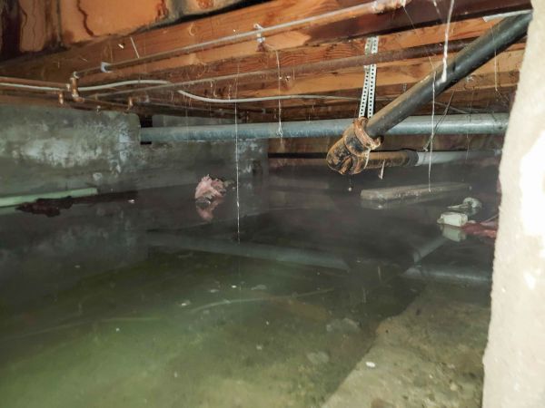 Crawlspace Water Restoration in Saint Clair Shores